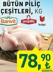 BÜTÜN PİLİÇ ÇEŞİTLERİ KG